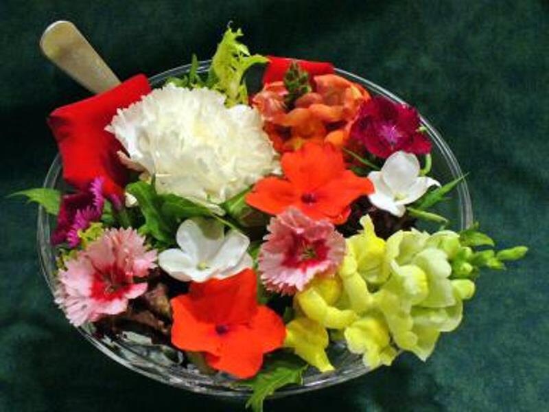 Edible Flower SeedMix FragrantColorful and flavorful Etsy