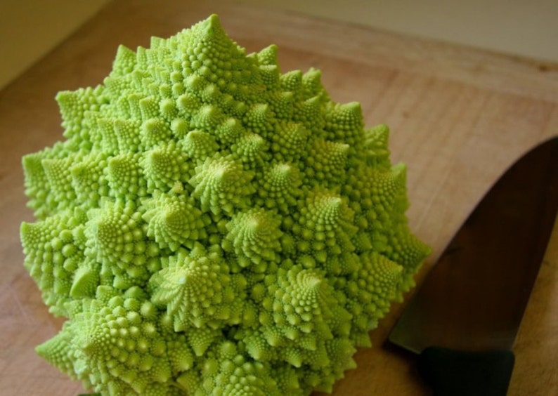 VERONICa ROMANESCO BROCCOFLOWER Cauliflower seeds Organic Non-GMO Keeps its lime-green color even when cooked!