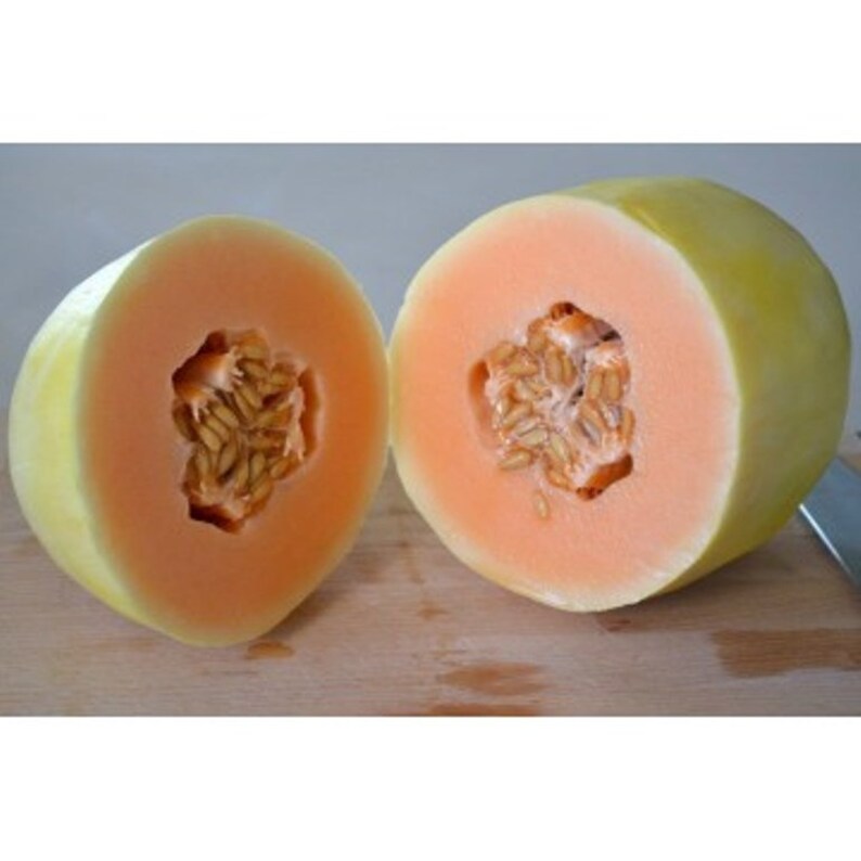 Melo Melo Melon Pan