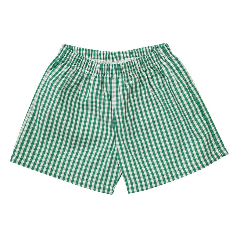 Blue Gingham Shorts