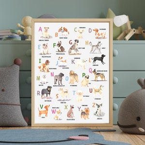 Dog breed Alphabet for Kids Room, Dog alphabet poster, ABC dogs breeds, A to Z dogs alphabet, dogs wall art, dogs theme, dogs art print