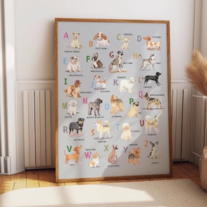 Könnte beinhalten: Ein gerahmtes Poster mit einem illustrierten Alphabet von Hunderassen. Jeder Buchstabe steht für eine andere Rasse, wie Dackel, Husky und Labrador. Das Poster hat einen hellgrauen Hintergrund und einen Holzrahmen, geeignet für ein Kinderzimmer oder ein Hundeliebhaber-Zuhause.