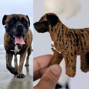Op de afbeelding: Een gestroomde Boxerhond op een strand naast een handgemaakte vilten hond. De Boxer heeft een bruin-zwarte vacht, met zijn tong uitgestoken. De vilten hond is bruin met zwarte strepen.