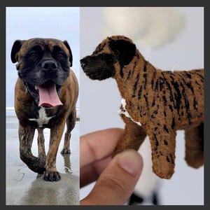 Op de afbeelding: Een gestroomde Boxerhond met een zwarte snuit en een roze tong, op het strand. Daarnaast een klein, handgemaakt hondenbeeldje met bruine en zwarte markeringen.