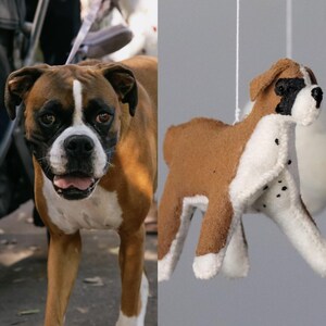 Op de afbeelding: Een Boxer hond met een bruin en witte vacht, buiten staand. Daarnaast een vilten ornament van een Boxer hond, ook bruin en wit, met zwarte aftekeningen. Het ornament hangt aan een draad.