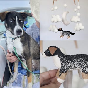 Op de afbeelding: Een hond met zwarte, bruine en witte vacht en blauwe ogen zit in een boot. Een handgemaakte vilten baby mobile heeft wolken, een maan en een hond met zwart-wit patroon vacht.