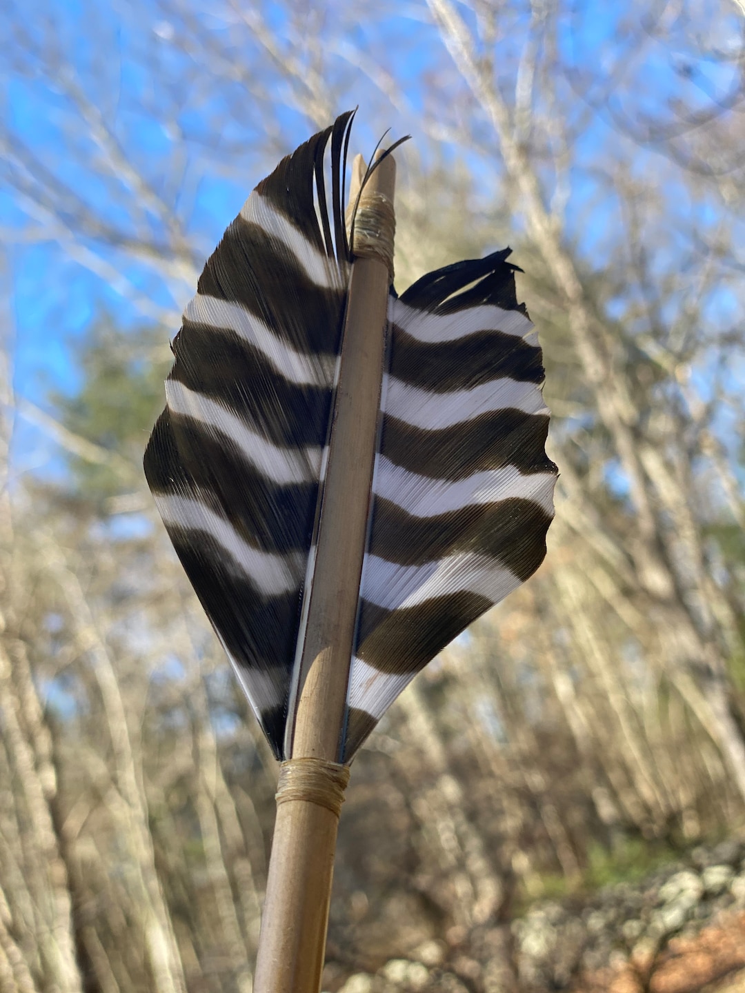 Primitive Arrows Made From River Cane - Etsy