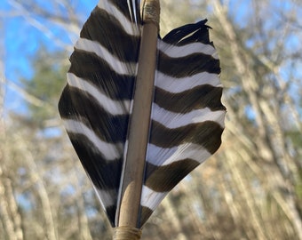 primitive arrows made from river cane