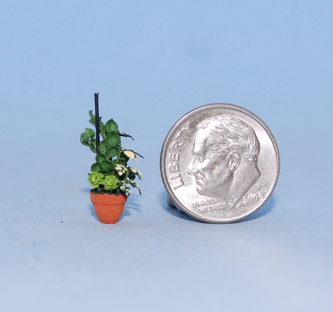 1:48 Scale 1/4 Inch Scale Dollhouse Miniature-dish Garden - Etsy