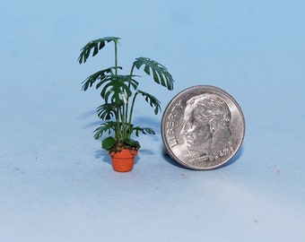 1:48 scale * 1/4 inch scale Dollhouse Miniature-Monstera Plant