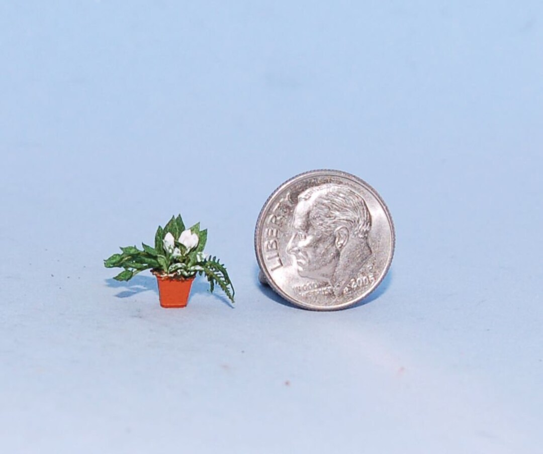 1:48 Scale * 1/4 Inch Scale Dollhouse Miniature-dish Garden - Etsy