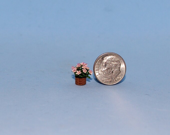 1:48 Scale 1/4 Inch Scale Dollhouse Miniature-azalea - Etsy