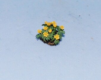 1:48 scale * 1/4 inch scale dollhouse miniature-Aconite