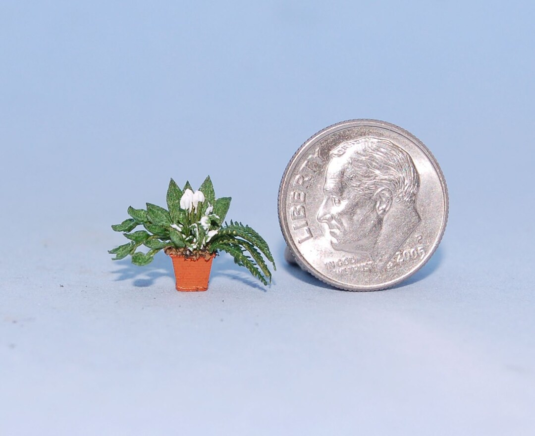 1:48 Scale 1/4 Inch Scale Dollhouse Miniature-dish Garden - Etsy