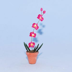 1:12 scale * 1 inch scale dollhouse miniature-Phalaenopsis Orchid