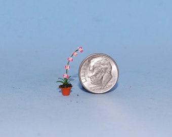 1:48 scale * 1/4 inch scale dollhouse miniature-Phalaenopsis Orchid