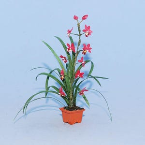 1:12 scale * 1 inch scale miniature-Cymbidium Orchid