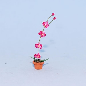 1:24 scale * 1/2 inch scale dollhouse miniature-Phalaenopsis Orchid