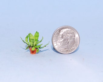 1:48 scale * 1/4 inch scale dollhouse miniature-Bird's Nest Fern