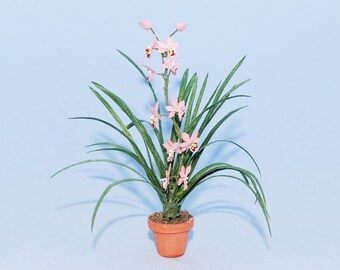 1:12 scale * 1 inch scale miniature-Cymbidium Orchid