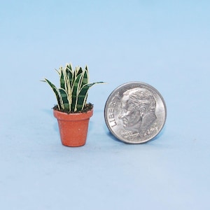 1:24 scale * 1/2 inch scale miniature-Snake Plant