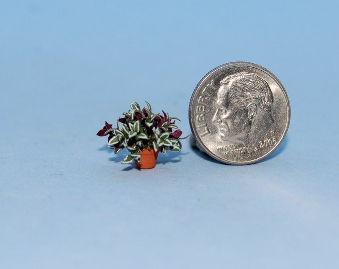 1:48 Scale 1/4 Inch Scale Dollhouse Miniature-wandering Jew - Etsy