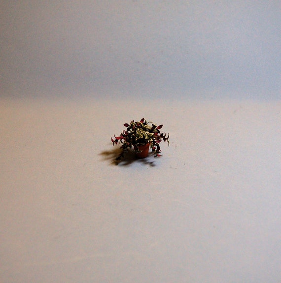 Dollhouse miniature DIY laser cut 1//4 scale Amaryllis flower