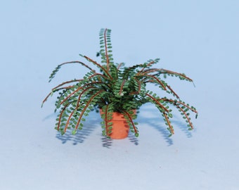 1:12 scale * 1 inch scale dollhouse miniature-Button Fern