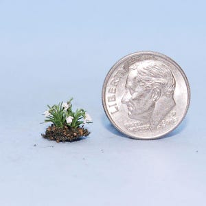 1:48 scale * 1/4 inch scale dollhouse miniature-Snow Drop