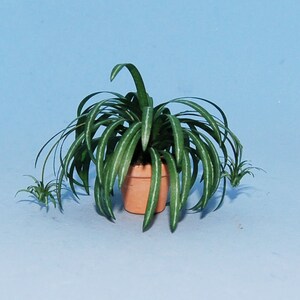 1:12 scale * 1 inch scale dollhouse miniature-Spider Plant