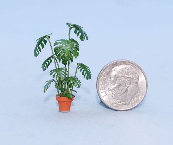 1:48 Scale * 1/4 Inch Scale Dollhouse Miniature-monstera Plant - Etsy