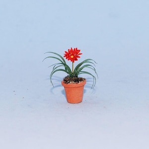 1:24 scale * 1/2 inch scale dollhouse miniature-Clivia