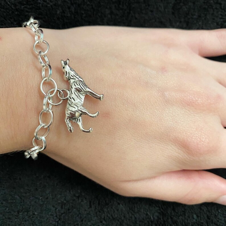 oswan bracelet oswan bracelet