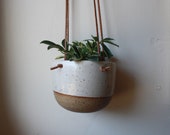 Small Hanging Planter - Speckled White - Leather and Ceramic - Brown Knotted Leather - Handmade - KJ Pottery