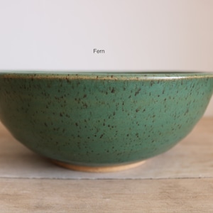 Ramen Bowl KJ Pottery Fern