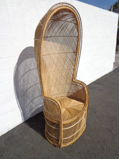 Peacock Chair Dome Canopy Porter Fan Vintage Bohemian Boho Chic
