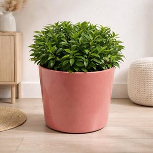 Vintage Blush Pink Ceramic Planter Pot | Mid Century Gainey Style