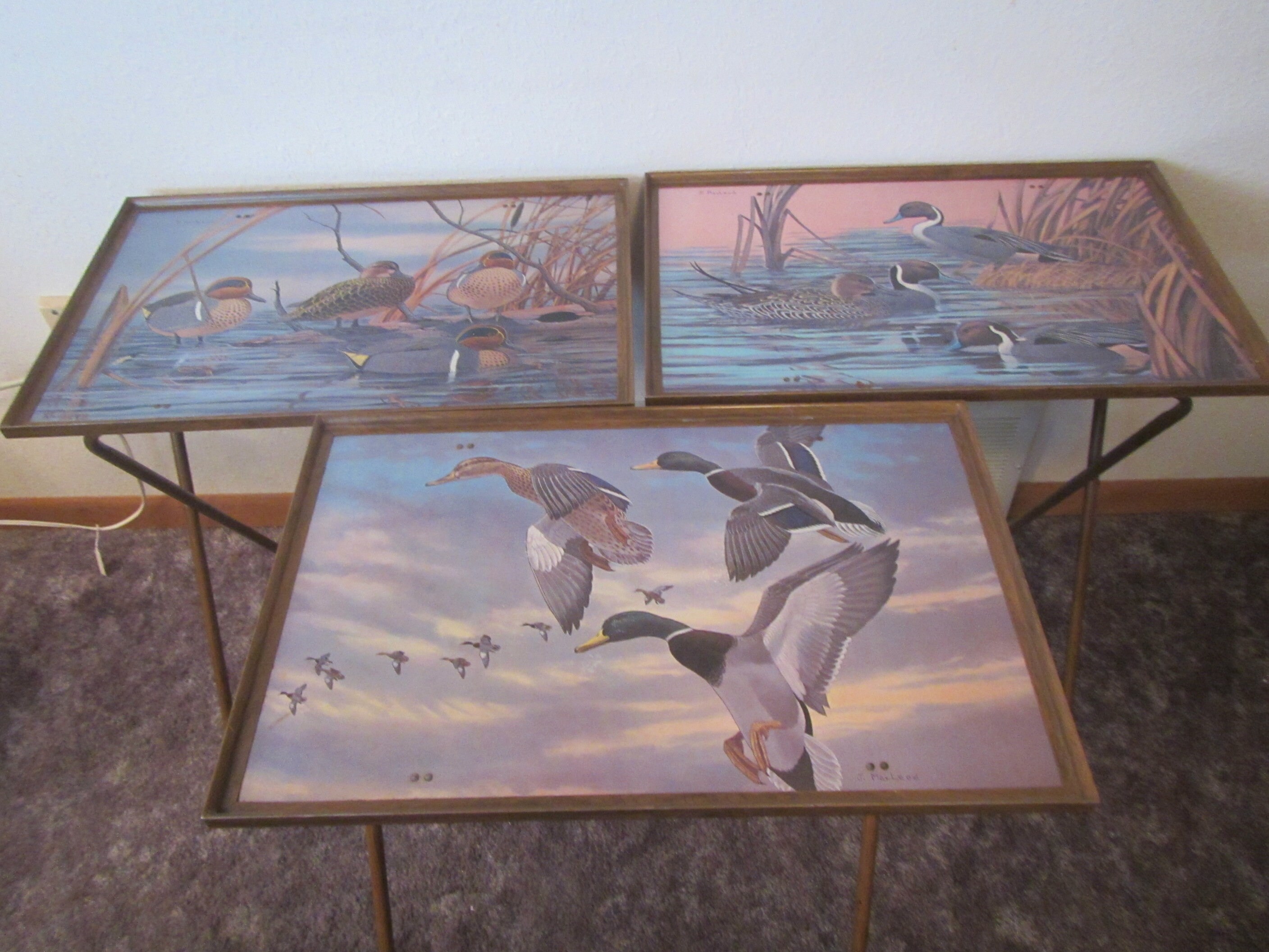 Set of 3 TV Trays Wild Life Duck Scenes by J. Macleod Folding