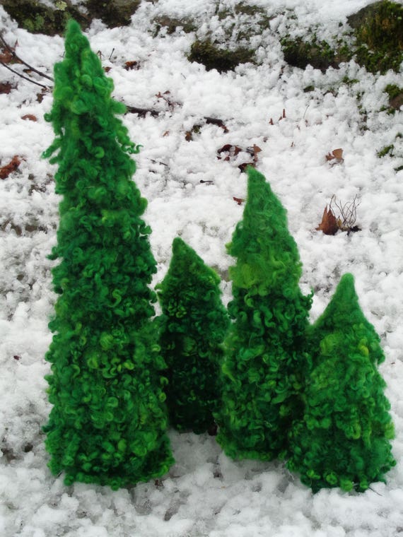 Curly Teeswater Lock Pine Trees 4 Sizes Add Nature Indoor Home Etsy