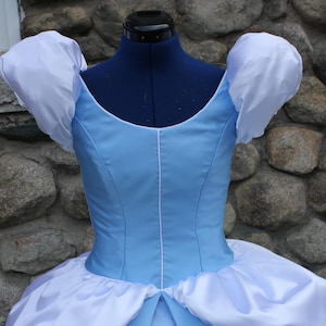 Adult Cinderella Dress