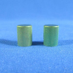 Könnte beinhalten: Zwei kleine, zylindrische Knöpfe mit geriffelter Textur. Die Knöpfe sind in einem gedämpften Grünton gehalten und haben eine flache, metallische Oberseite. Sie befinden sich vor einem blauen Hintergrund.