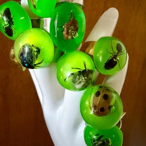 May include: A collection of green resin rings, each featuring a different insect encased within. The insects include ants, beetles, and a ladybug. The rings have silver bands and are displayed on a white hand.