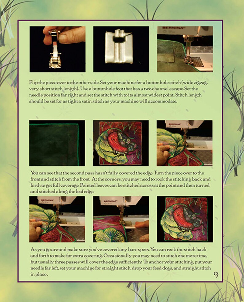 May include: Close-up of a sewing machine needle stitching a red, green, and black fabric design. The fabric design features a butterfly and leaves. The image shows the steps for stitching around the edges of a fabric design.
