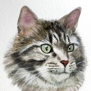 Cat portrait Custom cat portrait Watercolor