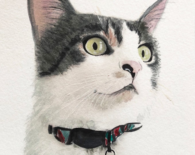 Cat portrait Custom cat portrait Watercolor