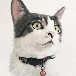 Cat portrait Custom cat portrait Watercolor