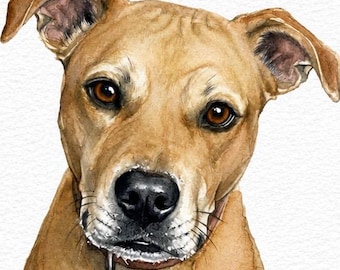 Custom Watercolor Pet Portrait, Original Painting