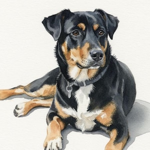 Watercolor Pet Portrait from Your Photo | Custom Dog/Cat Painting | Original Hand-Painted Art