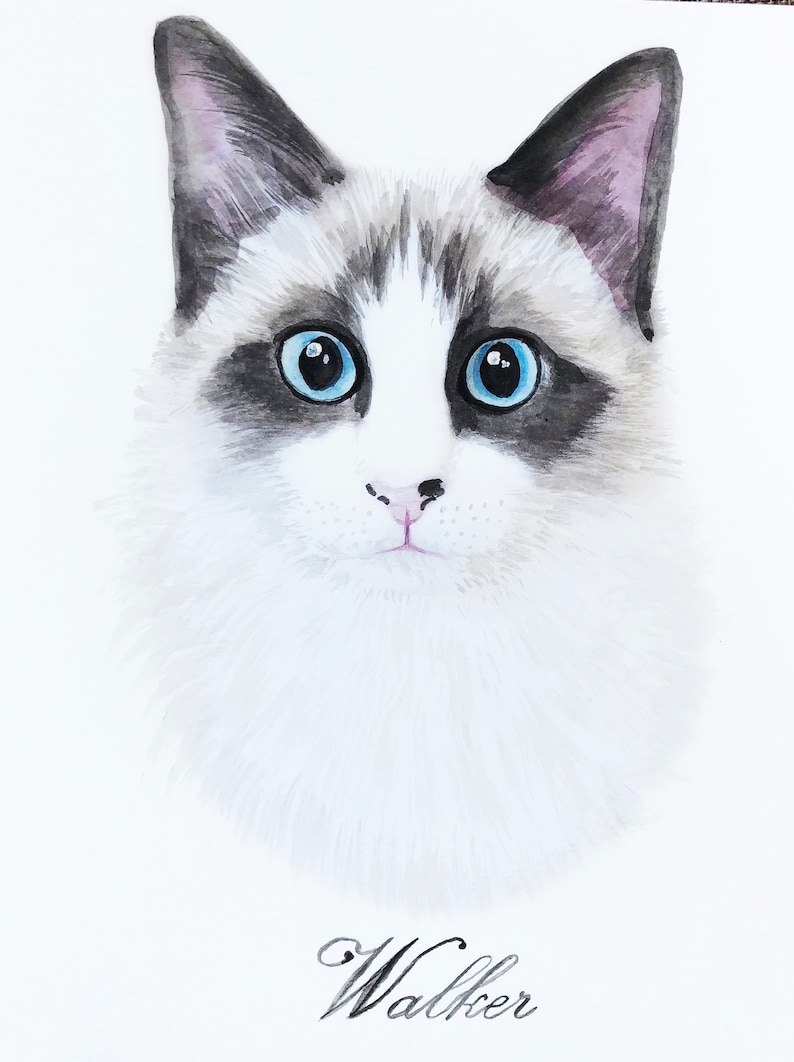 Cat portrait Custom cat portrait Watercolor