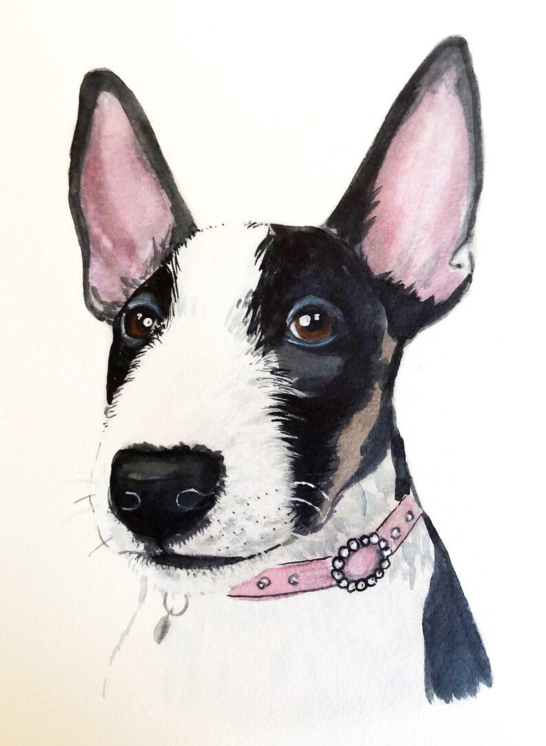 Cat portrait Custom cat portrait Watercolor